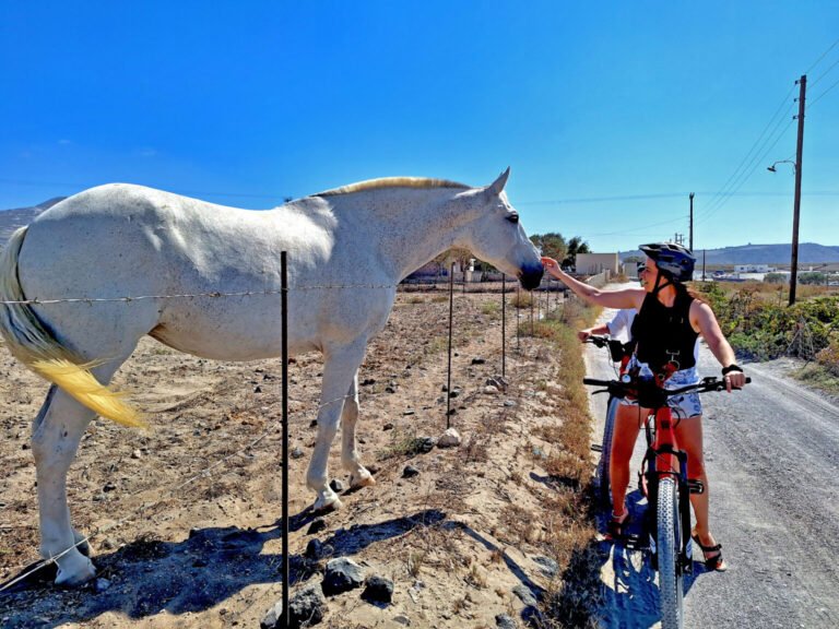 2. Eco-bikes Santorini half day 6