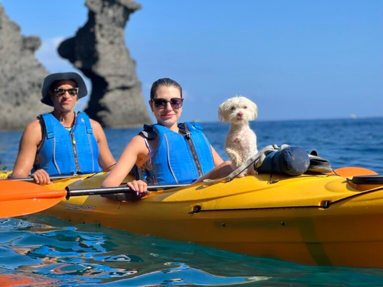 5. Kayak Experience 1